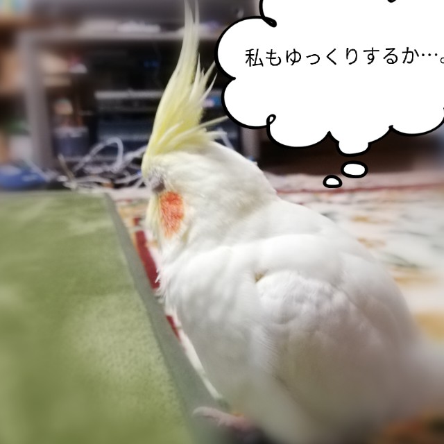 f:id:poposantos:20190627121934j:plain