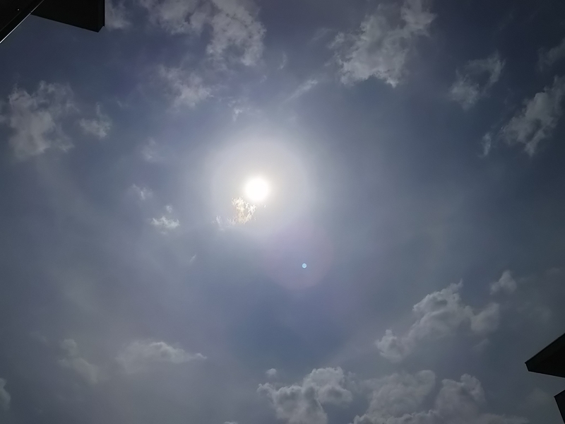 f:id:popotanpopo:20210501235059j:plain