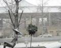 [アート][風景]御堂筋の雪景色0512222彫刻「渚」と北御堂