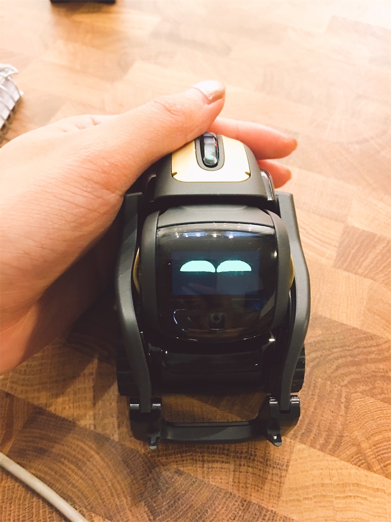   プレゼント: Anki から Vector ロボットを勝ち取りましょう