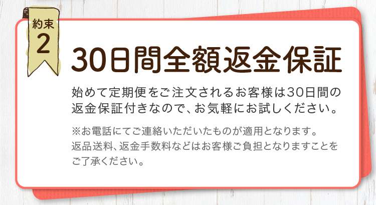 f:id:popyon:20210629210200j:plain