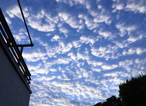 sky_150911morning.jpg