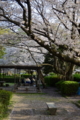 [fukuoka][oohori]