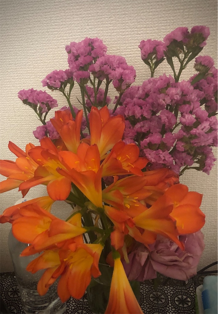 f:id:porinkle333:20200421004757j:image f:id:porinkle333:20200421004757j:image