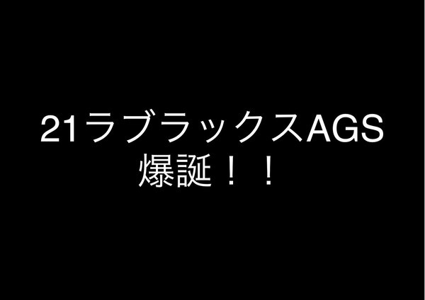 21ラブラックスags登場 シーバスロッドの新時代突入 中越ヘボ釣り師の釣り記録と成長記