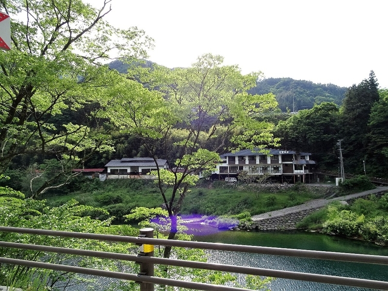 イメージ 7