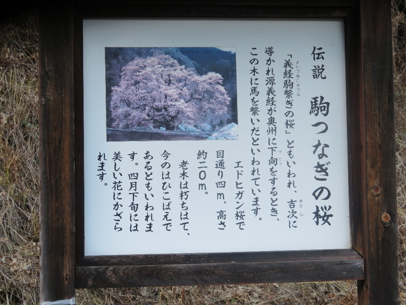 イメージ 13