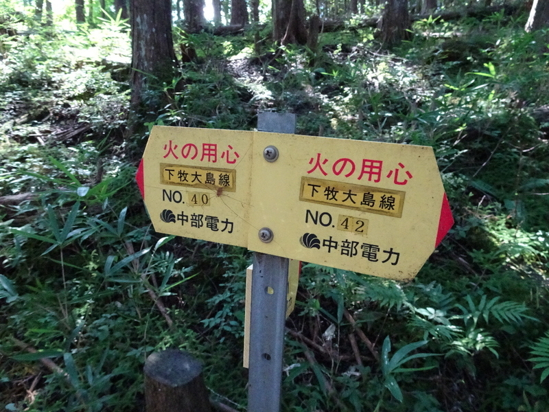 イメージ 15