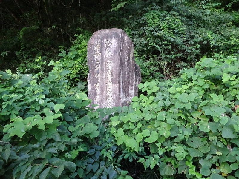 イメージ 19