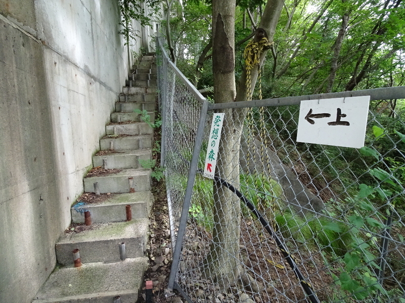 イメージ 24