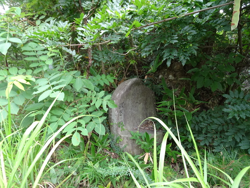 イメージ 27
