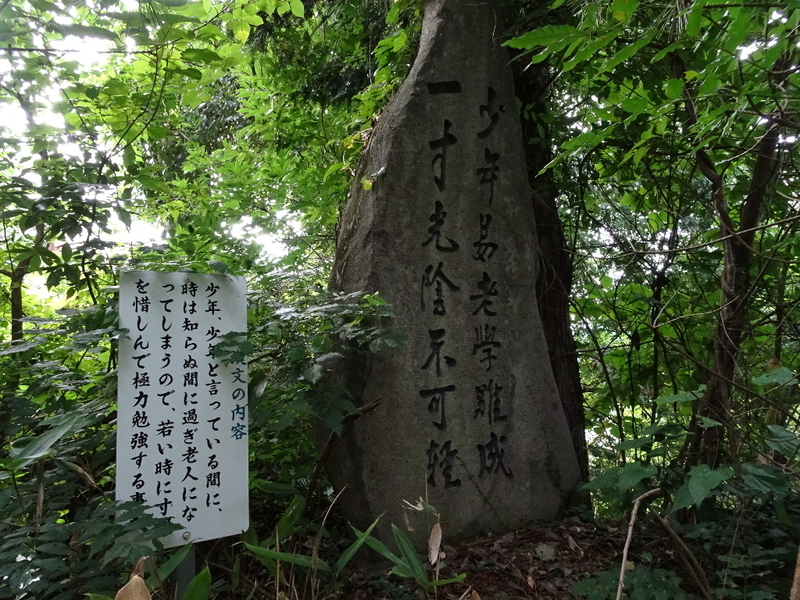 イメージ 33