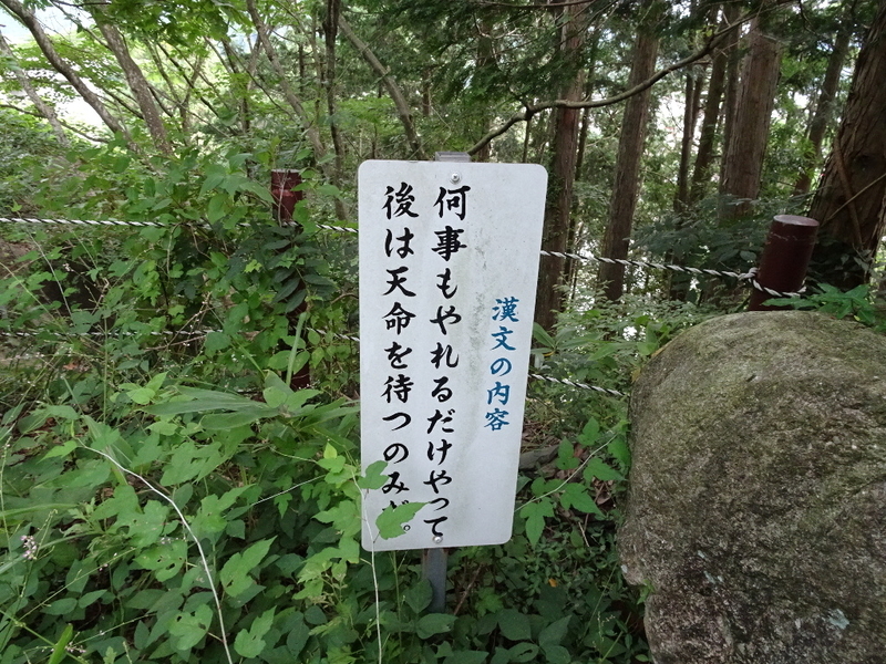 イメージ 36