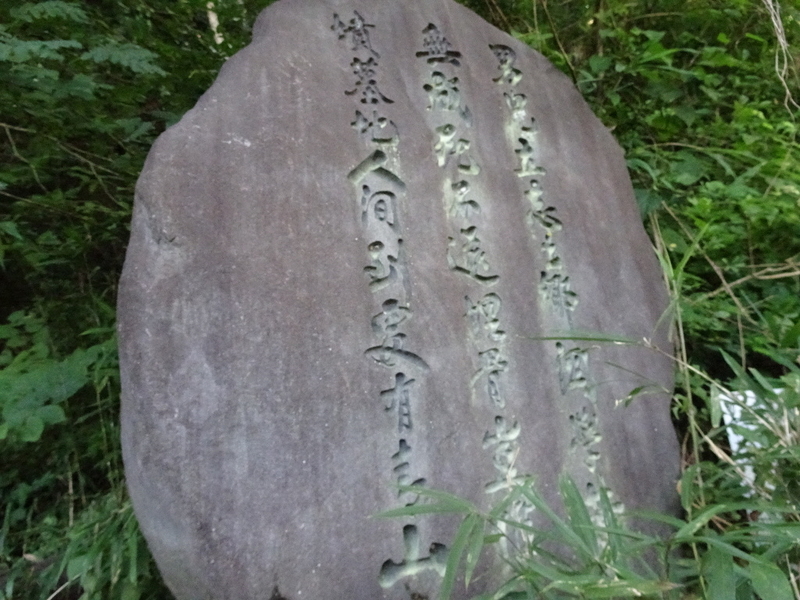 イメージ 7