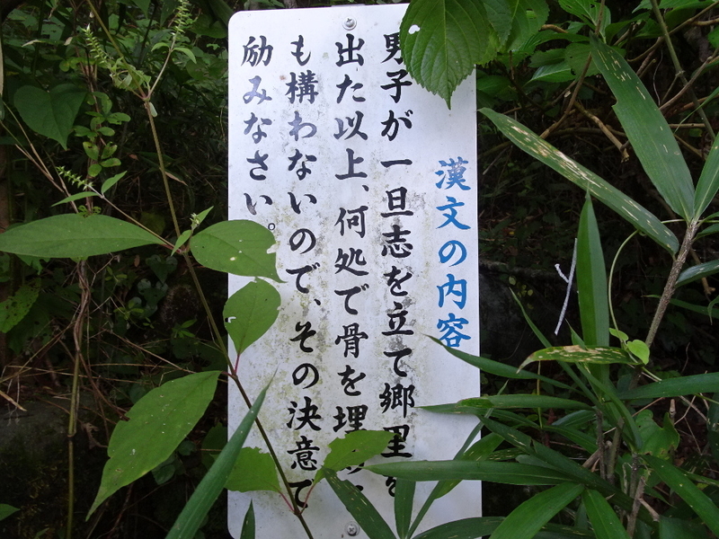イメージ 8