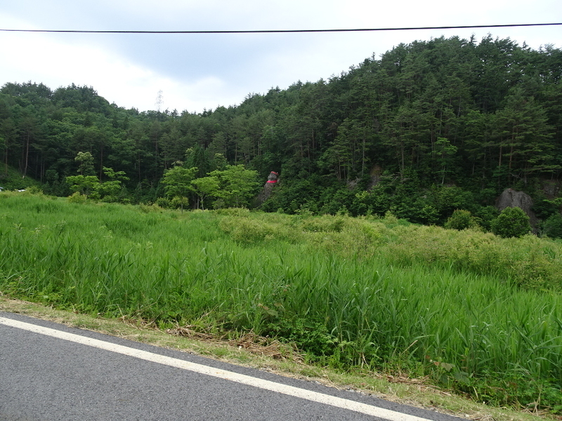 イメージ 1