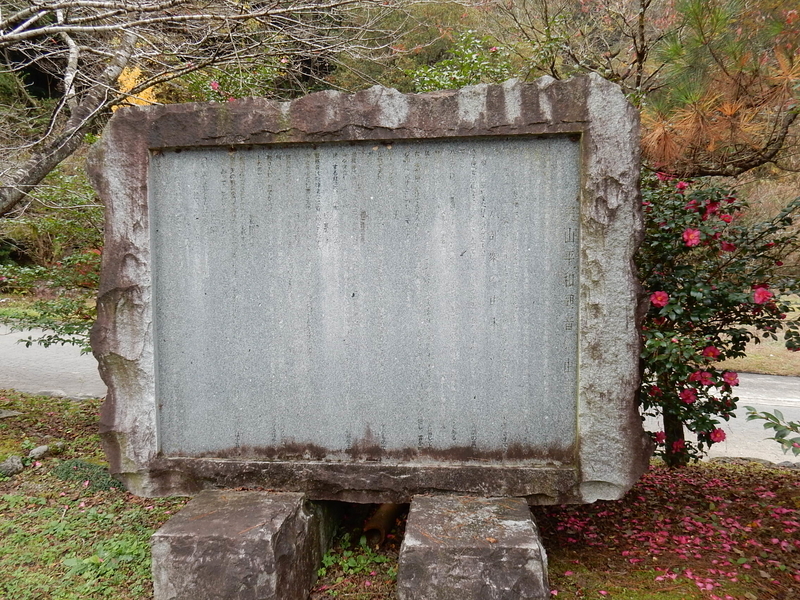 イメージ 6