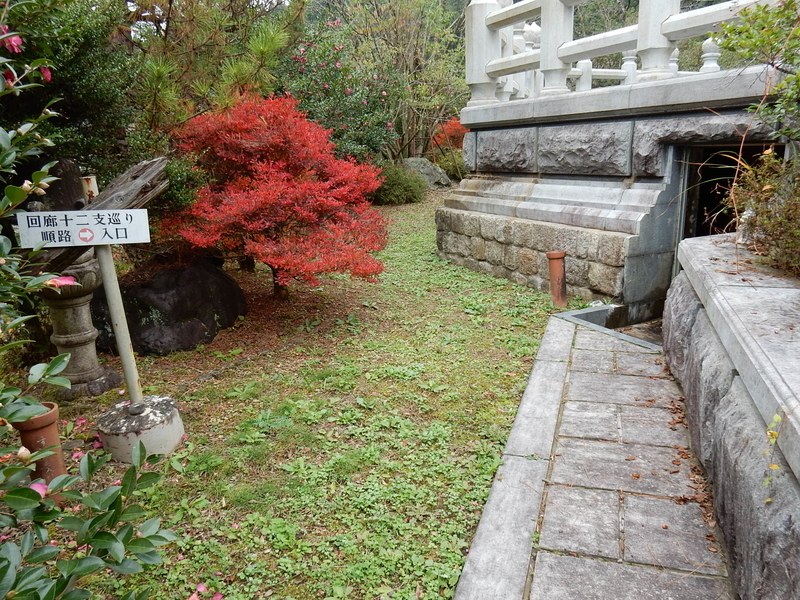 イメージ 7