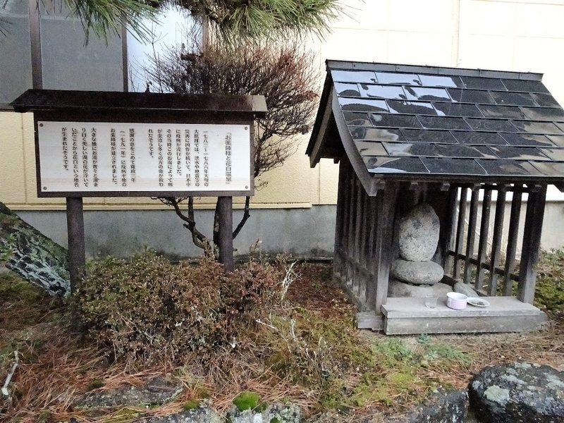 イメージ 8