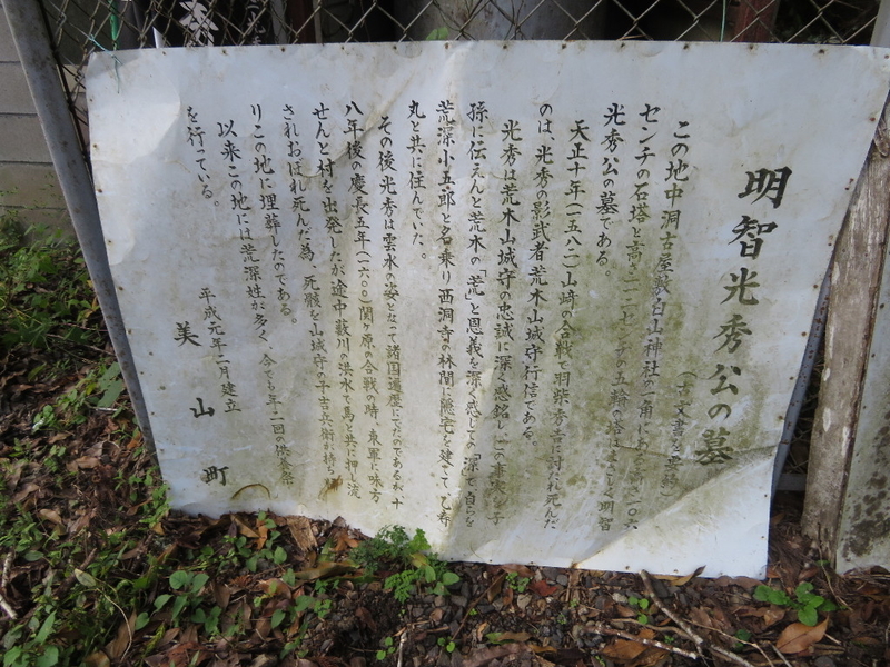 イメージ 11