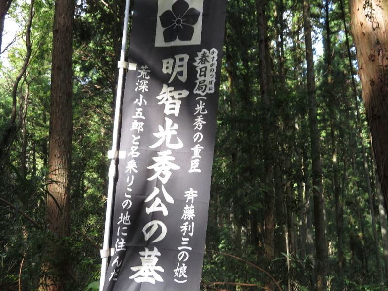 イメージ 17