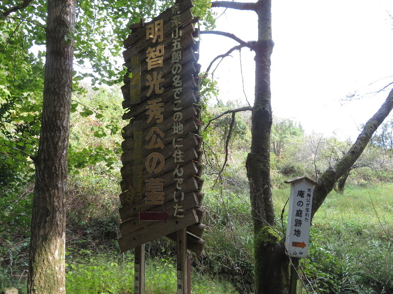 イメージ 5