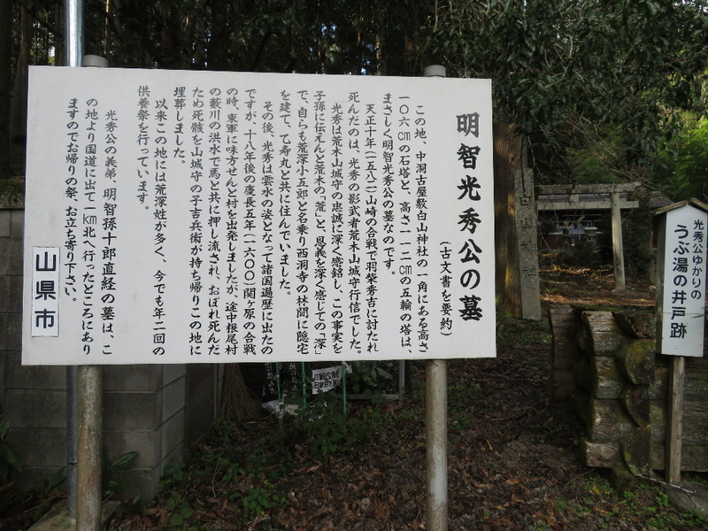 イメージ 6