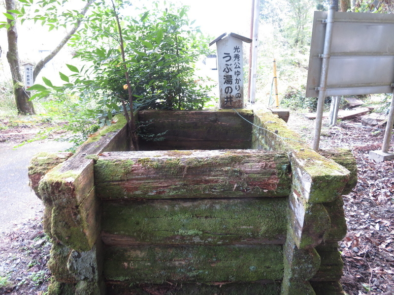 イメージ 7