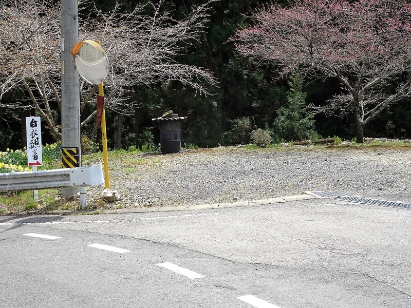 イメージ 10