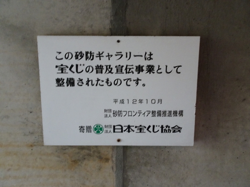 イメージ 9