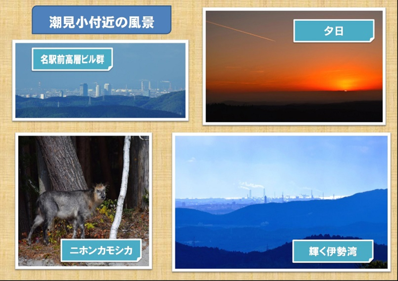イメージ 8