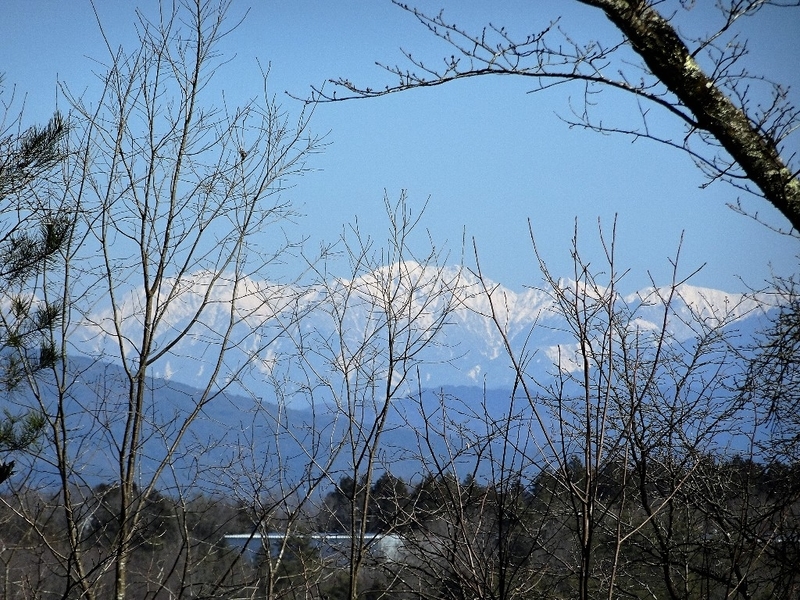 イメージ 27