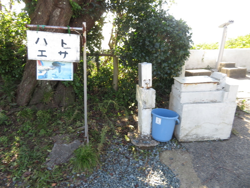 イメージ 10