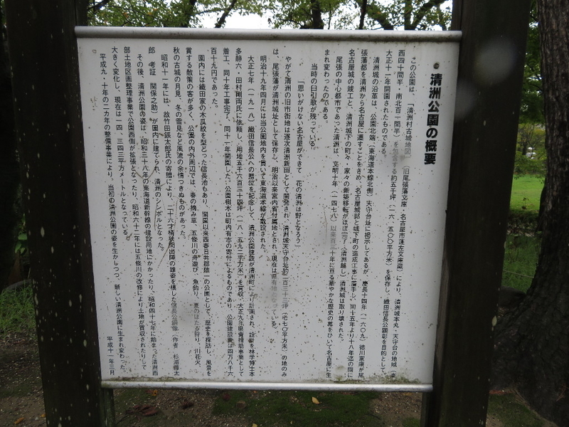 イメージ 17