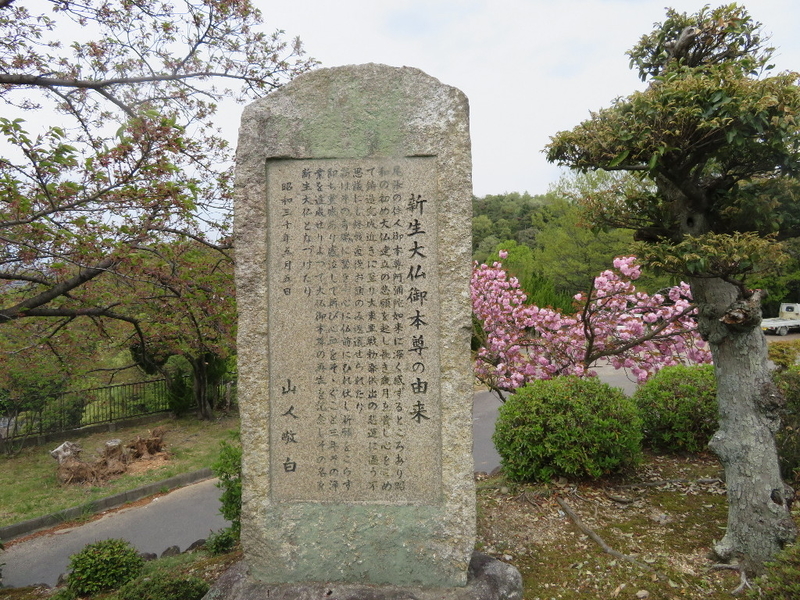 イメージ 16
