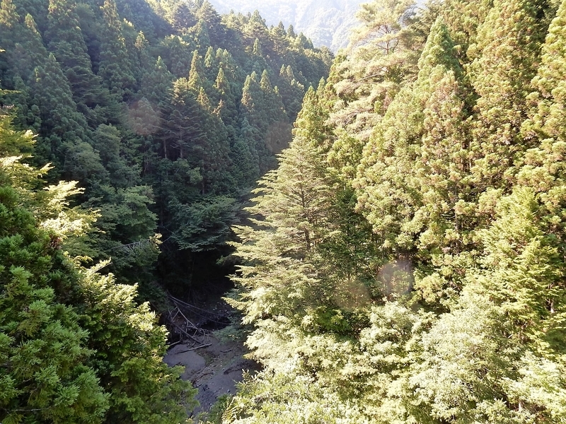イメージ 13