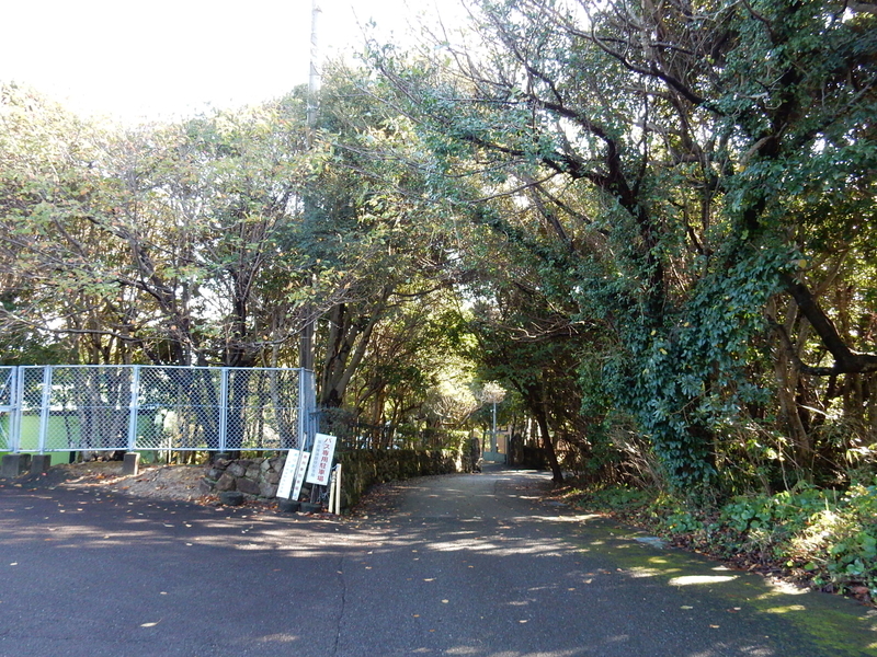 イメージ 6