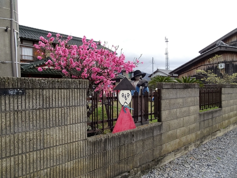 イメージ 9