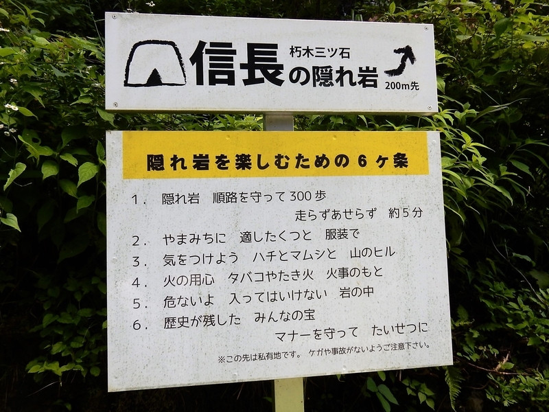 イメージ 4