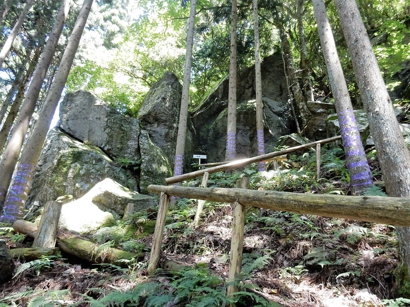 イメージ 6