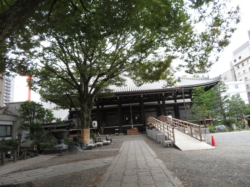 イメージ 5