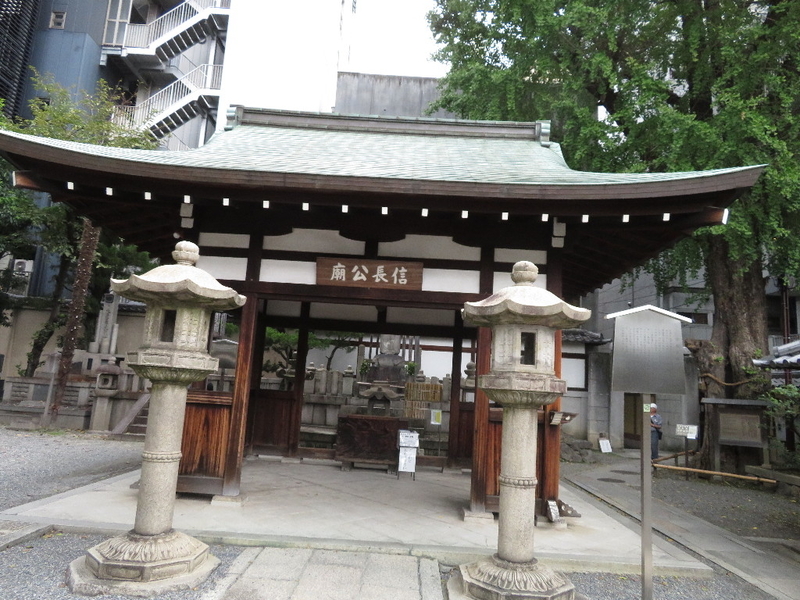 イメージ 7
