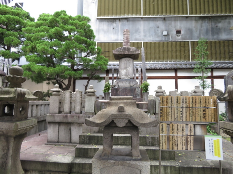 イメージ 8