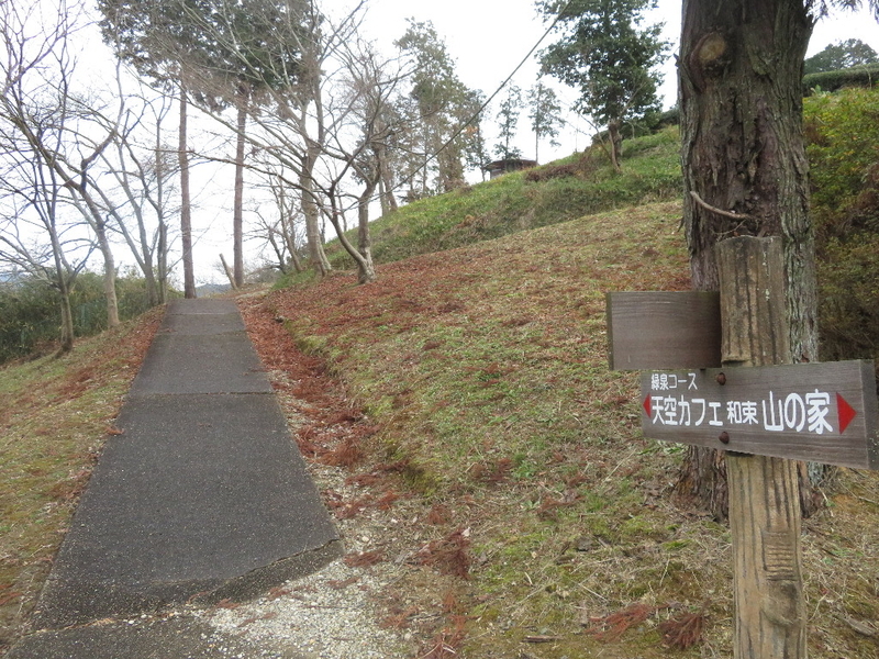 イメージ 13