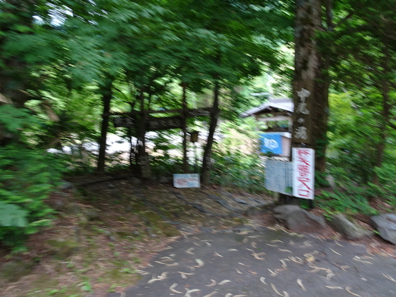 イメージ 13