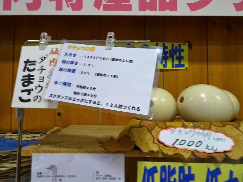 イメージ 20