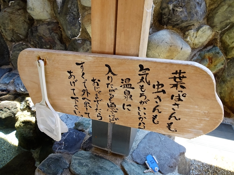 イメージ 23