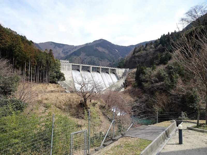 イメージ 18