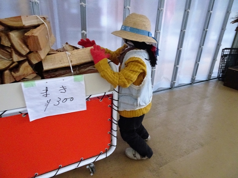 イメージ 10