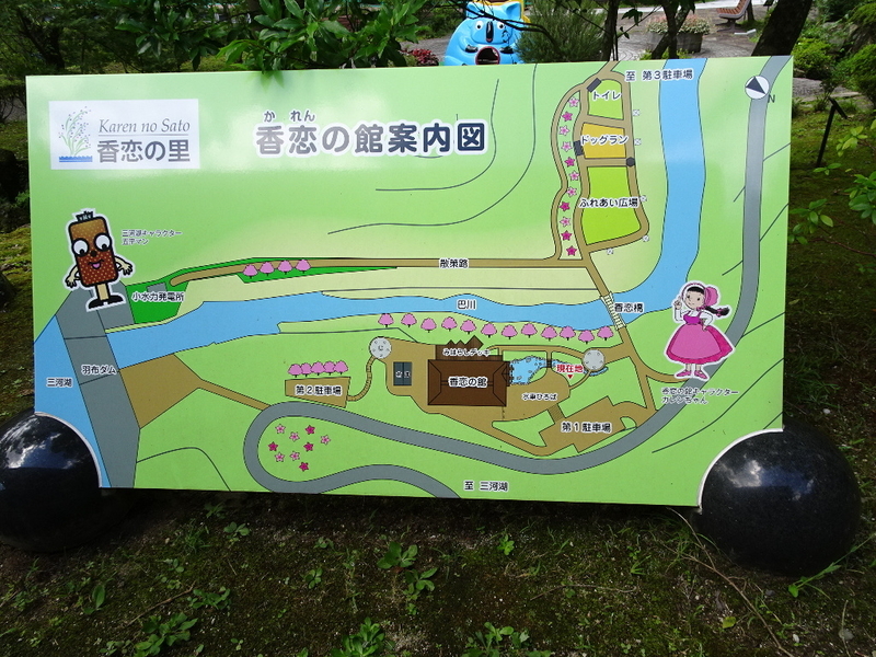 イメージ 5